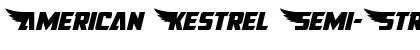 American Kestrel Semi-Straight Font