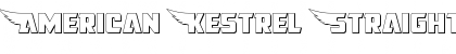 American Kestrel Straight 3D Regular Font