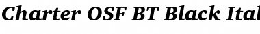 Charter OSF BT Black Italic