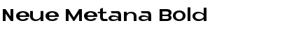 Neue Metana Bold Font
