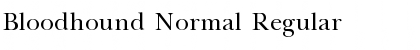 Bloodhound Normal Regular Font