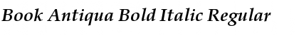 Book Antiqua Bold Italic Font