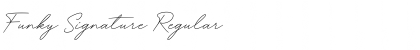 Funky Signature Font