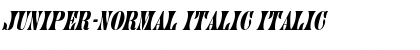 Juniper-Normal Italic Italic Font