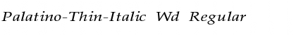 Palatino-Thin-Italic Wd Font