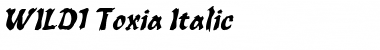 WILD1 Toxia Italic Font