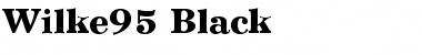 Wilke95-Black Font
