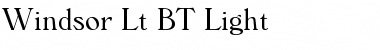 Windsor Lt BT Light Font
