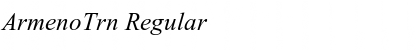 ArmenoTrn Regular Font