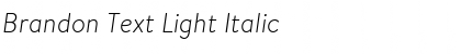 Brandon Text Light Italic Font