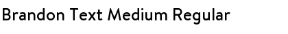 Brandon Text Medium Font