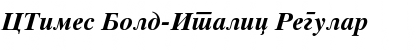 CTimes Bold-Italic Font