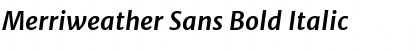 Merriweather Sans Bold Italic Font