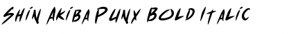 Shin Akiba Punx Bold Italic Font