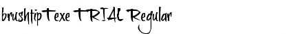brushtipTexe TRIAL Regular Font