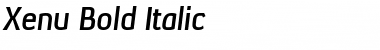 Xenu Bold Italic Font