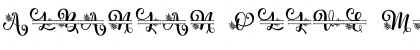 Albanian Olive Monogram 2 Regular Font
