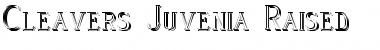 Cleaver's_Juvenia_Raised Font