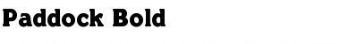 Paddock Bold Font