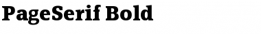PageSerif-Bold Font