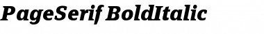 PageSerif-BoldItalic Font