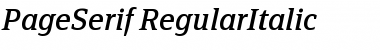 PageSerif-RegularItalic Font