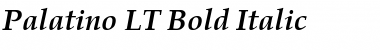 Palatino LT Bold Italic