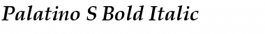 Palatino S Bold Italic