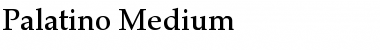 Palatino-Medium Medium Font