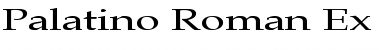 Palatino-Roman Ex Font