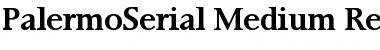 PalermoSerial-Medium Font