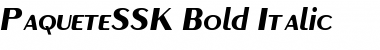 PaqueteSSK Bold Italic Font