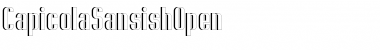 Capicola Sansish Open Regular Font