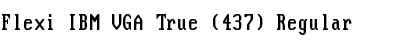 Flexi IBM VGA True (437) Font