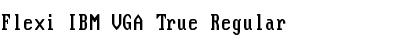 Flexi IBM VGA True Regular Font