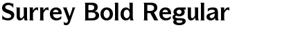 Surrey Bold Regular Font