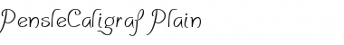 PensleCaligraf Plain Font