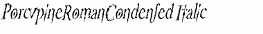 PorcupineRomanCondensed Italic