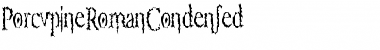 PorcupineRomanCondensed Font
