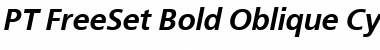 FreeSetC Italic Font