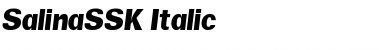 SalinaSSK Italic Font