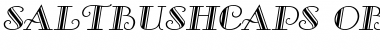SaltbushCaps Oblique Font