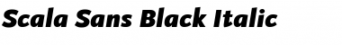 Scala Sans Black Italic