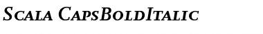 Scala Bold Italic