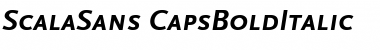 ScalaSans Bold Italic Font
