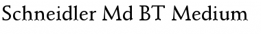 Schneidler Md BT Medium Font
