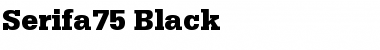 Download Serifa75-Black Font