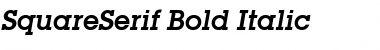 SquareSerif Bold Italic