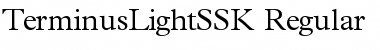 TerminusLightSSK Regular Font