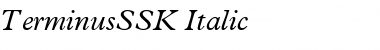 TerminusSSK Italic Font